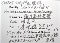 薄片異核果蟹藏品圖，第18張