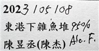 顯著瓊娜蟹藏品圖，第15張