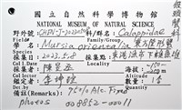 東方筐形蟹藏品圖，第14張
