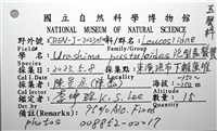 仿泡粒長螯蟹藏品圖，第18張