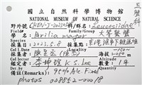 大等螯蟹藏品圖，第20張