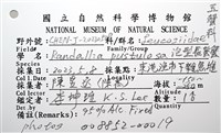 泡粒長螯蟹藏品圖，第20張