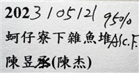徽章聲蟹藏品圖，第17張