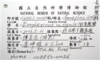 徽章聲蟹藏品圖，第18張