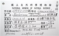 鈍額玉蟹藏品圖，第18張