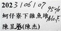 圓形狼牙蟹藏品圖，第11張