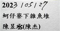 猥蝦(櫻花蝦)藏品圖，第17張