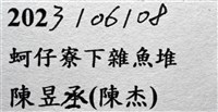 看守長眼蟹藏品圖，第17張