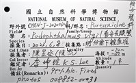 看守長眼蟹藏品圖，第18張