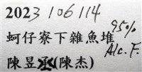劍脊槍蝦藏品圖，第21張