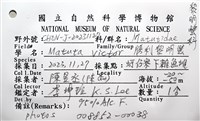 頑強(勝利)黎明蟹藏品圖，第12張