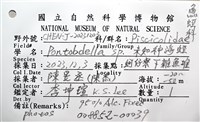未知種海蛭藏品圖，第16張