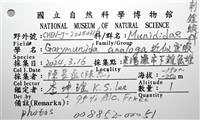 近似宦蝦藏品圖，第20張