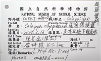 圓盾饅頭蟹藏品圖，第16張