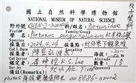 紅星梭子蟹藏品圖，第20張