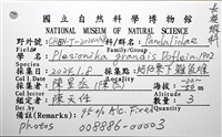 雄偉紅蝦藏品圖，第16張