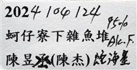 鑽石異瘤蛇海星(暫譯)藏品圖，第19張