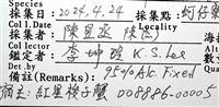 薄殼龜藤壺藏品圖，第13張