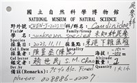 未知種尻參藏品圖，第16張