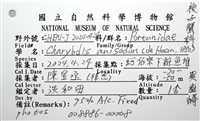 異齒蟳藏品圖，第16張