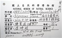 扁平多囊蟹奴藏品圖，第10張