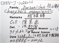相模蟳藏品圖，第16張