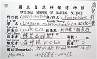 紅斑斗蟹藏品圖，第20張