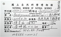 道氏深水虱藏品圖，第22張