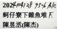 大管鞭蝦(憂鬱管鞭蝦)藏品圖，第9張