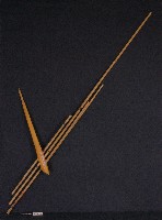 蘆笙藏品圖，第1張