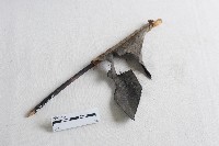 五營頭組(旗)藏品圖，第1張