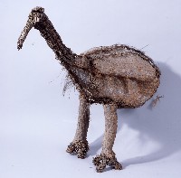 食火雞像藏品圖，第1張