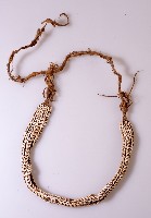 頭帶藏品圖，第1張