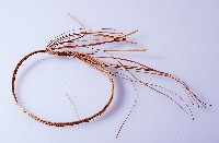 手環 藏品圖，第1張