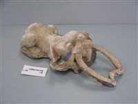 剪黏 藏品圖，第2張