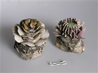 剪黏(花)藏品圖，第1張