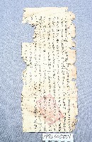 房地買賣契藏品圖，第1張