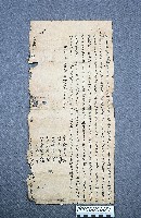 房地買賣契藏品圖，第1張