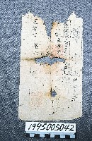 執照藏品圖，第1張