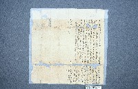 典貸借洗契藏品圖，第1張