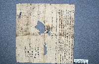 典貸借洗契藏品圖，第1張