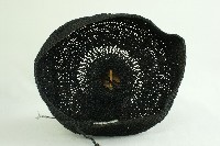 網巾及道冠藏品圖，第3張