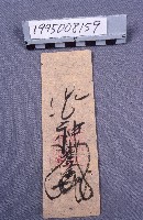 符藏品圖，第1張