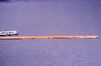 棒藏品圖，第1張