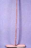 爬不仔藏品圖，第1張