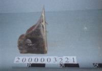 廟宇木構件藏品圖，第1張