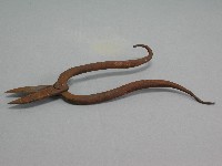 打銀器(鐵剪)藏品圖，第1張