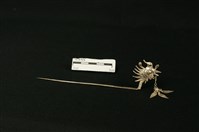 銀飾(鳳釵)藏品圖，第1張