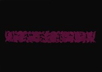 剪紙花藏品圖，第1張