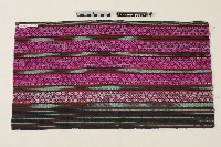 綁腿藏品圖，第1張